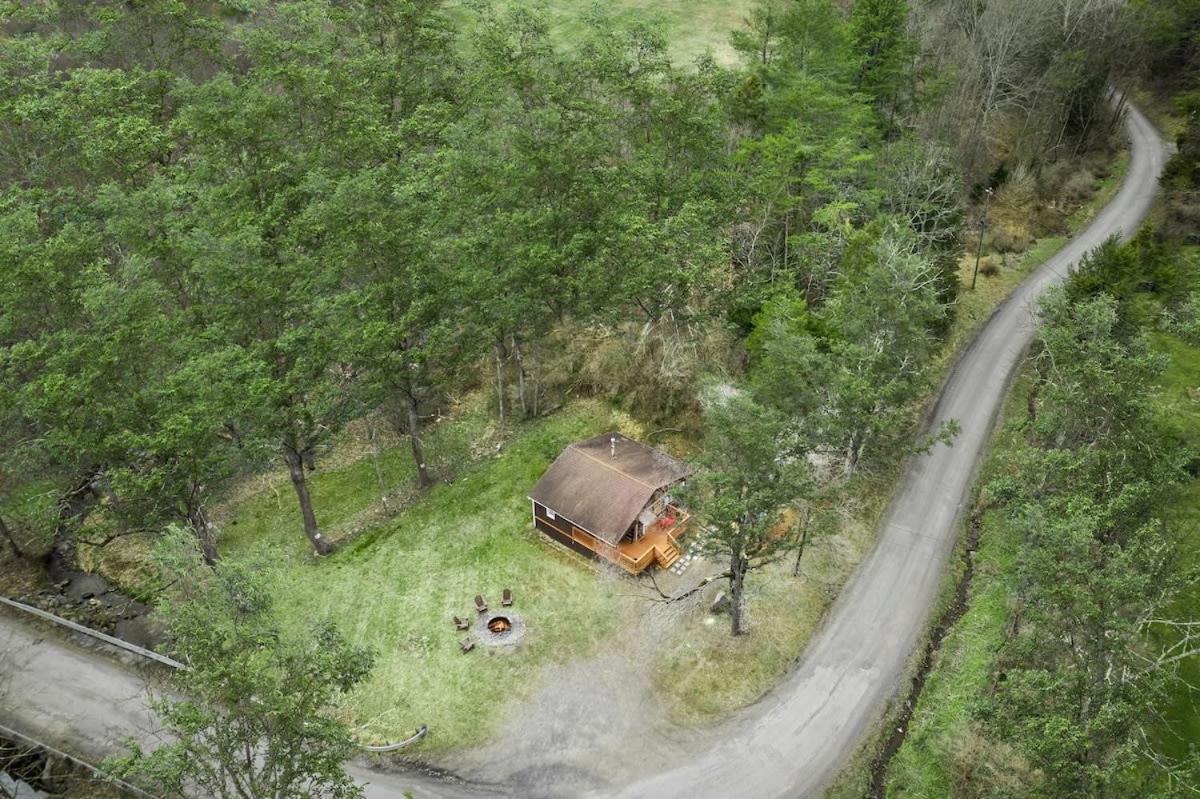 Creekside Cabin W Hot Tub, Fire Pit, Grill, Wifi! Basye Exterior foto